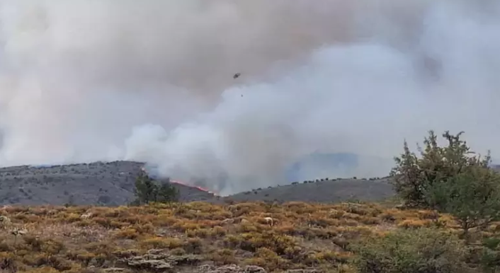 Ankara Valisi Şahin'den Ankara Bolu sınırındaki yangına ilişkin açıklama