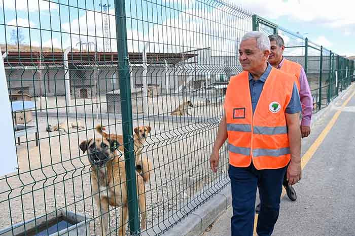 Mamak Belediyesi sokak hayvanları için yardım kampanyası başlatıyor!