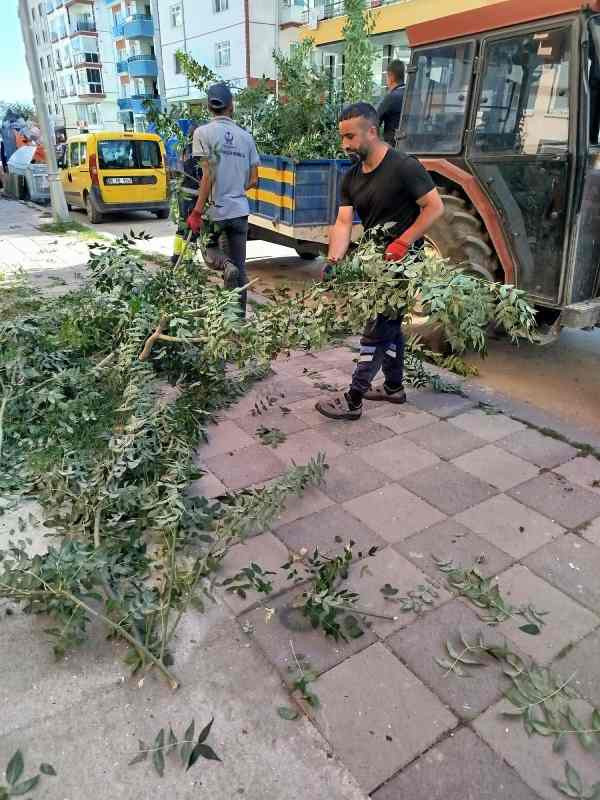 Kahramankazan Belediyesi yeşil alan ve parkların kalitesini artırıyor - Resim : 2