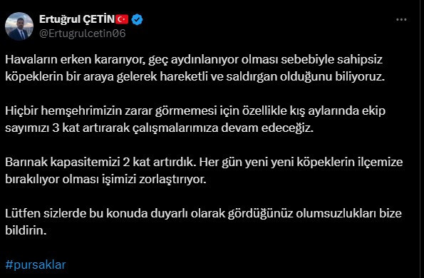 Pursaklar Belediyesi başıboş köpek sürüsü tehlikesine karşı ekip sayısını artırdı