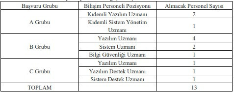 Dışişleri Bakanlığı’ndan sözleşmeli personel alım duyurusu: Başvurular başladı