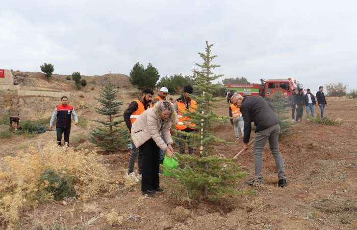 Ankara Nallıhan'da Milli Ağaçlandırma Gününde 500 fidan toprakla buluşturuldu