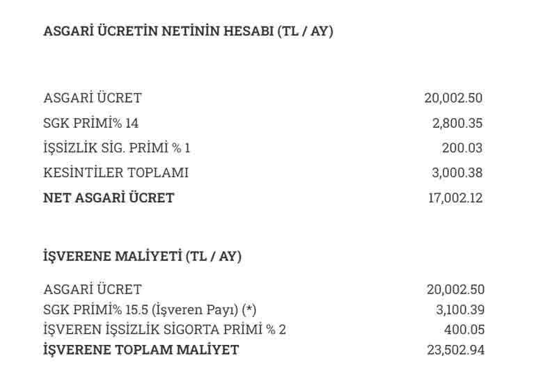 2025 asgari ücret tahmini! Ekonomistler hemfikir bu 4 rakamdan biri olacak