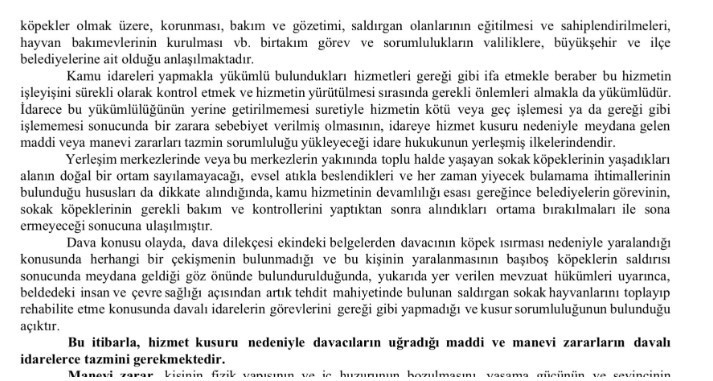 ABB ve Ankara Valiliği sahipsiz köpek davasında tazminata mahkum edildi