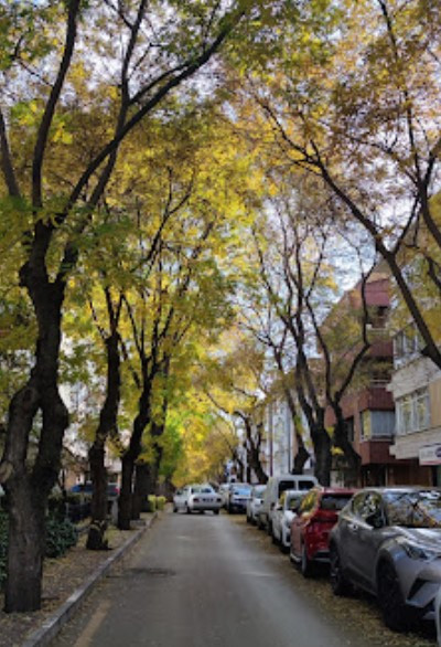 Ankara'da otopark sorunu trafik yoğunluğunu tetikliyor - Resim : 3