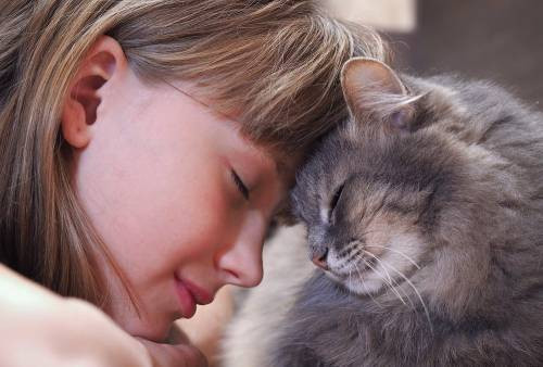 Kediler bizi iyileştirebilir mi? İşte kedi sahibi olmanın faydaları