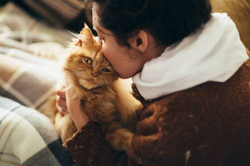 Kediler bizi iyileştirebilir mi? İşte kedi sahibi olmanın faydaları - Resim : 3