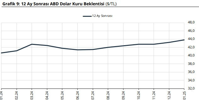 Merkez Bankası tarih verdi: Dolar kuru o tarihte 44 TL'ye dayanacak