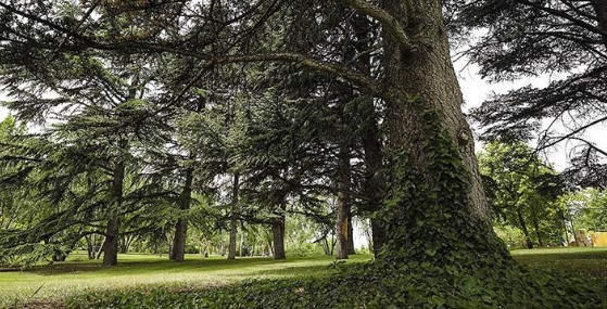 Ankara’nın merkezindeki tarihi parkı biliyor musunuz? - Resim : 2