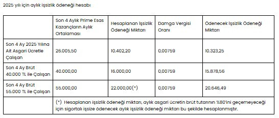 Ödeme tablosu paylaşıldı: Şartları sağlayanlara en az 10.323 TL, en çok 20.646 TL ödenek