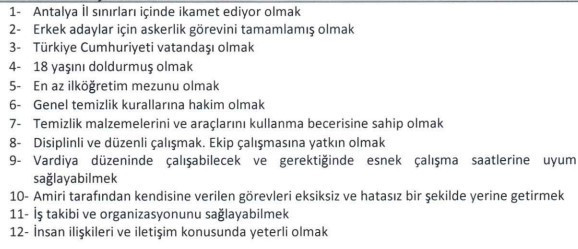 Kamyon sürücüsü, temizlik görevlisi ve güvenlik alınacak: Belge istenmiyor - Resim : 2