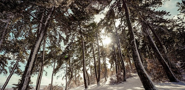 Başkent’in doğal hazinesi: Soğuksu Milli Parkı