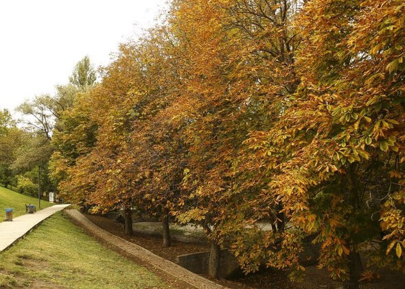 Ankaralıların en gözde parkı Seğmenler’in hikayesini biliyor musunuz?