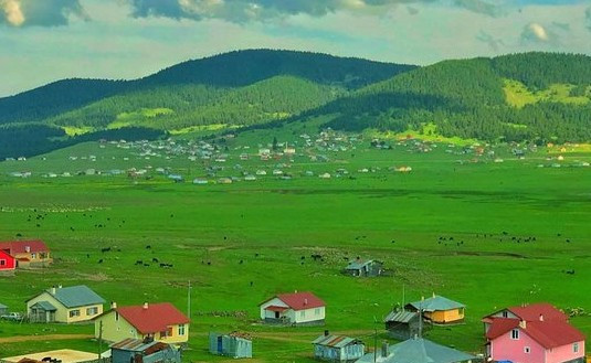 Karadeniz yaylalarına parmak ısırttı! Ankara'nın saklı hazinesi en güzel yayla seçildi