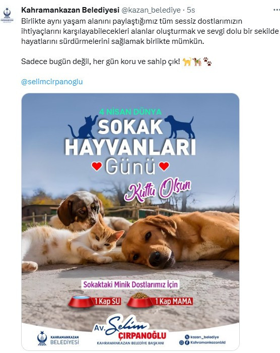 Kahramankazan Belediyesi sokak hayvanlarını unutmadı!