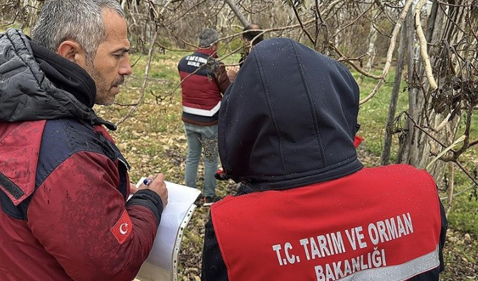 Tarım ve Orman Bakanı Yumaklı: 'Zirai dondan 16 ürün etkilendi'