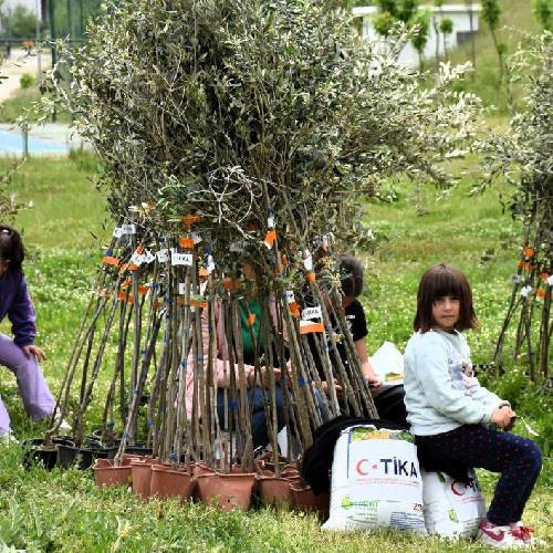 TİKA’dan Arnavutluk’tak yetim ailelere tarımsal destek