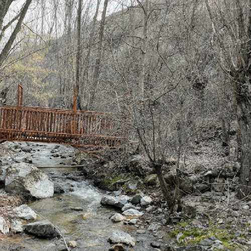 Ankara'nın kalbinden ayrılmadan doğanın kalbine gidiş: Görenleri büyülüyor