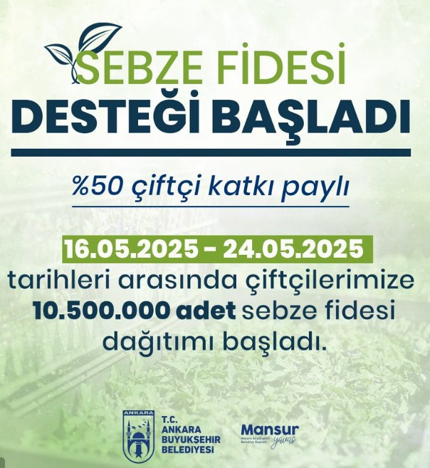 ABB 25 ilçede milyonlarca sebze fidesi dağıtımına başlıyor