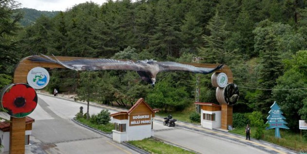 Piknikçilere gün doğdu! Ankara'da piknik yapılacak en güzel 20 piknik alanı - Resim : 5