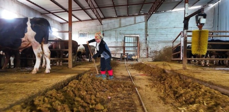 Çubuk'ta 16 yaşında başlayan hayvancılık macerası büyük bir hikayeye dönüştü