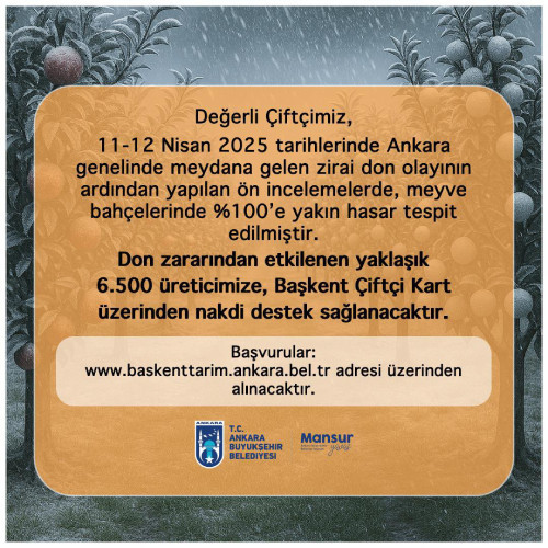 Mansur Yavaş zirai don mağduru çiftçilere destek sağlayacaklarını duyurdu