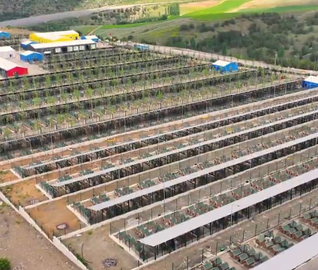 ABB CHP Grup Başkanvekili Yaşar Neslihanoğlu sokak hayvanları konusunda açıklama yaptı