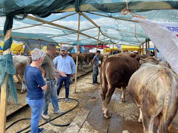 Sincan Belediyesi, Kurban Bayramı hazırlıklarını tamamladı - Resim : 2
