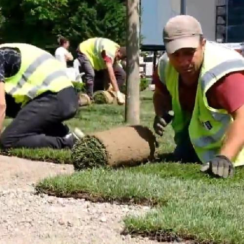 ABB, Güvenpark'ta yeşil alan zenginleştirme çalışması yaptı - Resim : 2
