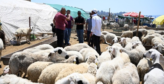 Bayramın ikinci gününde Ankara'da kurban pazarlarındaki yoğunluk devam etti