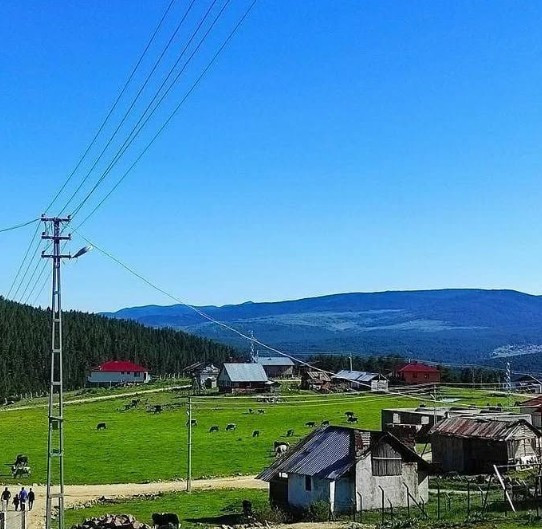Ankara'nın en yeşil köyü, adeta başkentin Karadeniz'i! Şırıl şırıl akan deresi ve yeşilin her tonu burada - Resim : 3