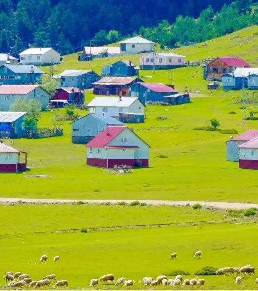 Ankara'nın en yeşil köyü, adeta başkentin Karadeniz'i! Şırıl şırıl akan deresi ve yeşilin her tonu burada - Resim : 2
