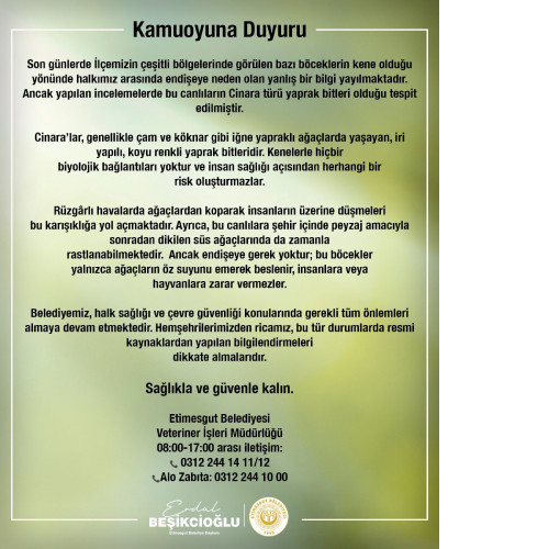 Etimesgut Belediyesinden ilçede kene görüldüğü iddialarına karşı açıklama geldi