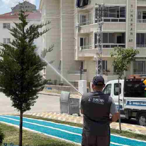 Sincan Belediyesi haşere ve sineklere karşı ilaçlamalarını sıklaştırdı - Resim : 2