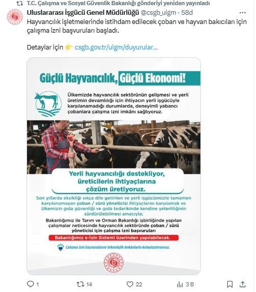 Yabancı çobanlar için çalışma izni başvuruları 12 Haziran'da başladı