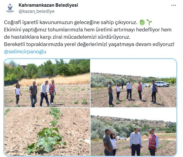 Kahramankazan Belediyesi, coğrafi işaretli kavuna sahip çıktı