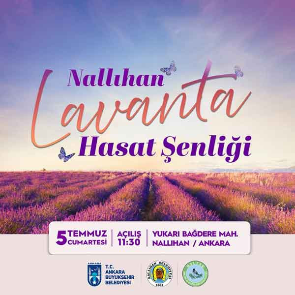 Nallıhan Lavanta Hasat Şenliği başlıyor! Tüm Ankaralılar davetli