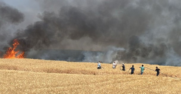 Beypazarı'nda buğday ekili tarlada çıkan yangın korkuttu!