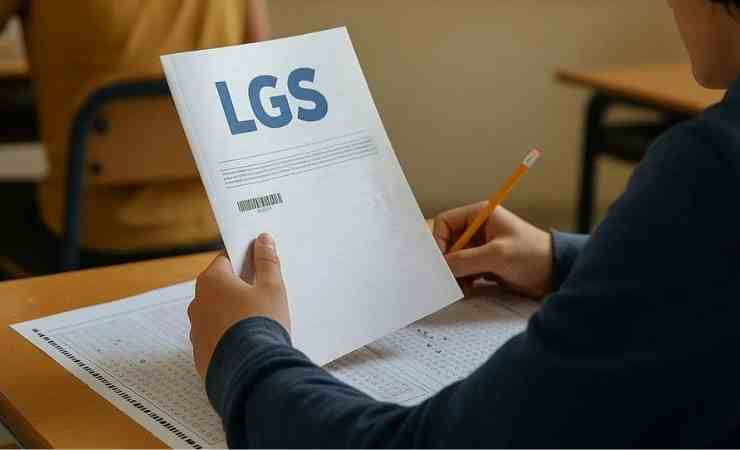 MEB LGS 2025 sonuçları açıklandı mı?