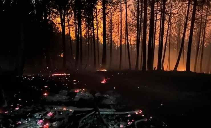 Çankırı'da çıkan orman yangını söndürmek için saatlerdir mücadele ediliyor