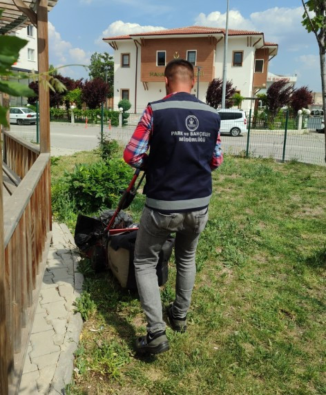 Kahramankazan Belediyesi, çevre düzenlemesi çalışmalarını sürdürüyor