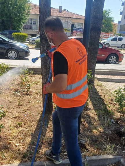 Kahramankazan Belediyesi, çevre düzenlemesi çalışmalarını sürdürüyor - Resim : 2