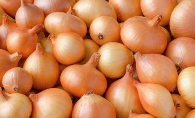 Kuru soğanı evlerde aylarca bozulmadan saklamanın püf noktası!