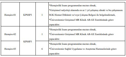Ankara Üniversitesi sözleşmeli personel alım ilanı 2025 yayımladı! - Resim : 2
