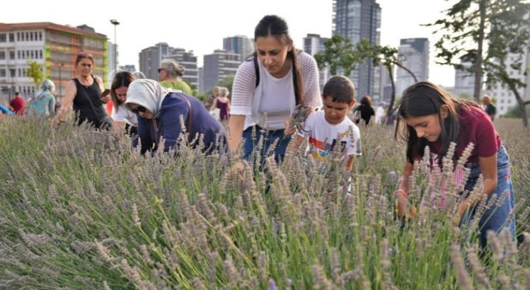 Keçiören Belediyesi'nin düzenlediği lavanta festivaline katılım yoğun oldu