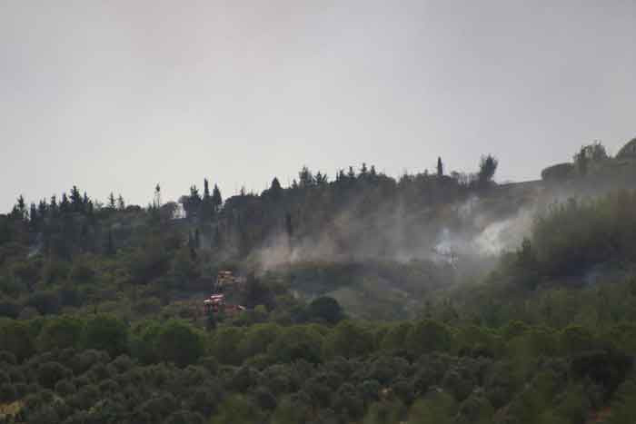 Devam eden Çanakkale Gelibolu yangını dron ile görüntülendi! - Resim : 3