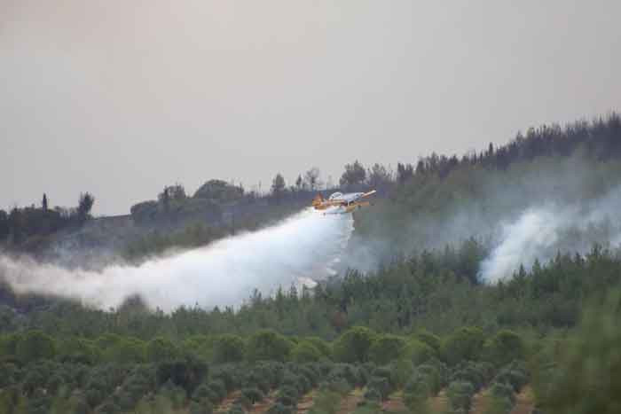 Devam eden Çanakkale Gelibolu yangını dron ile görüntülendi!