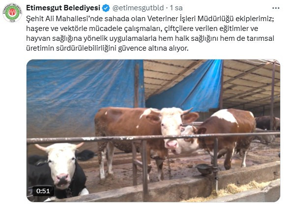 Etimesgut Belediyesi haşere ve vektörle mücadeleyi sürdürüyor!