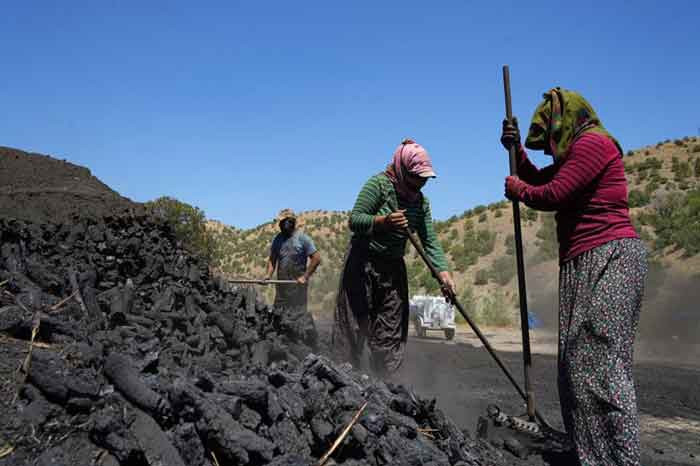 Ankara'nın en zor işi! Ekmeklerini kömürden çıkartıyorlar, kilosunu 30 TL'den satıyorlar - Resim : 2