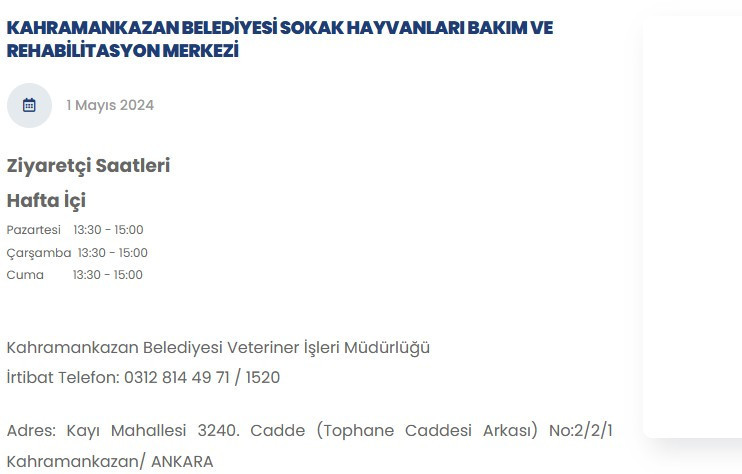 Kahramankazan Belediyesinden sokak hayvanlarına yardım eli!
